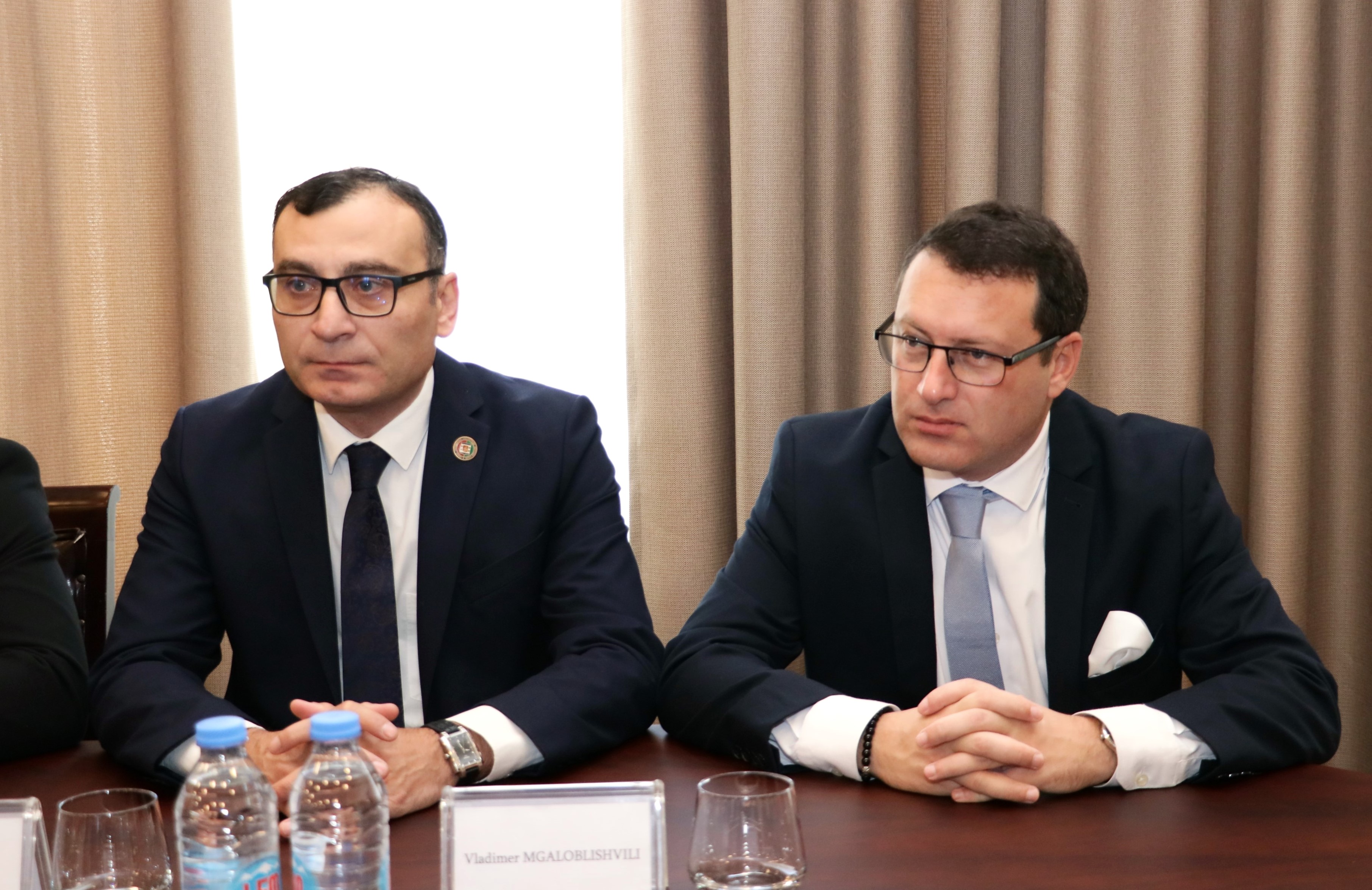 დავით გაბაიძემ სომხეთის საკონსტიტუციო სასამართლოს &nbsp;&nbsp;&nbsp;დელეგაციას უმასპინძლა