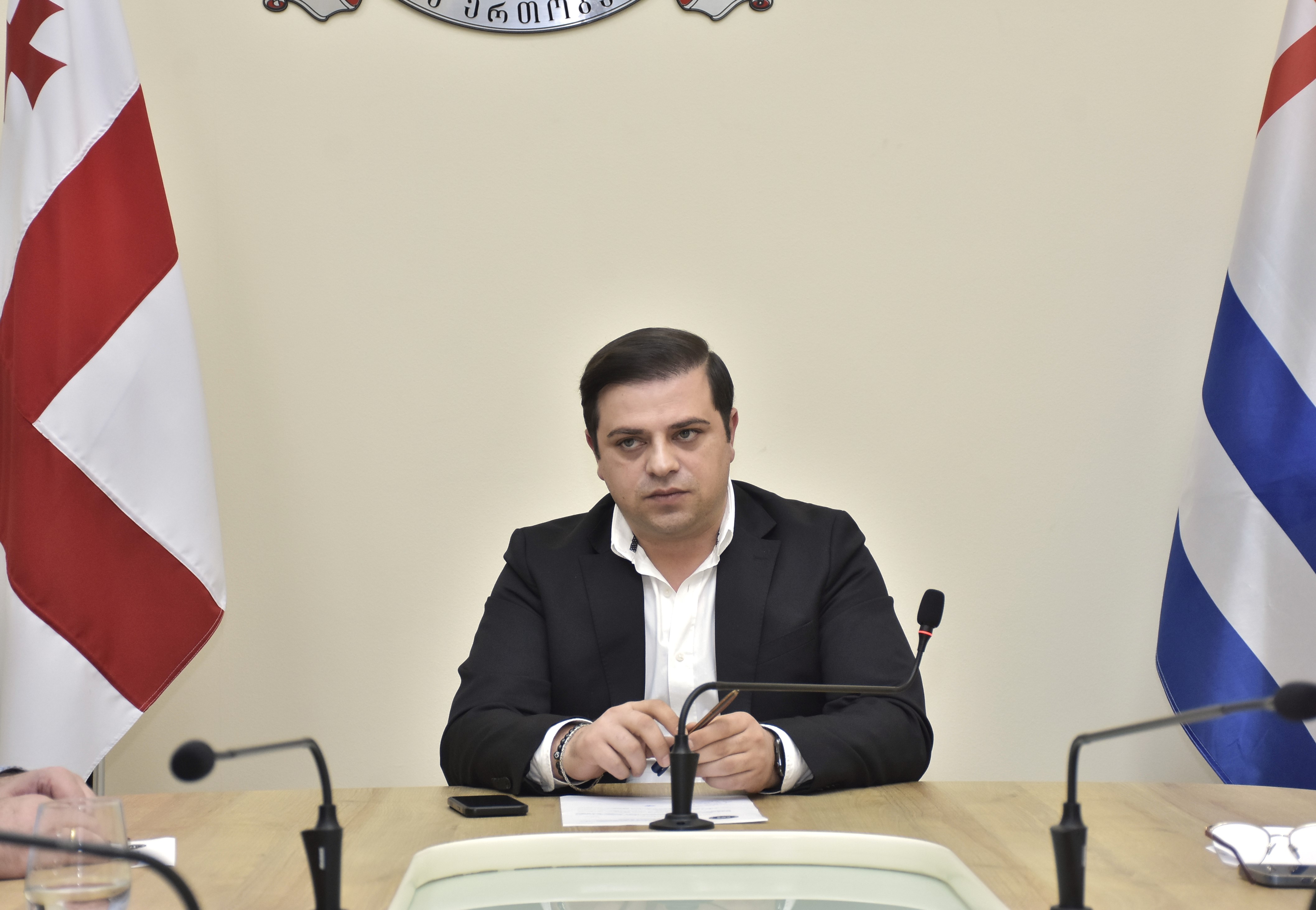 ადამიანის უფლებათა დაცვის საკითხთა კომიტეტის სხდომა