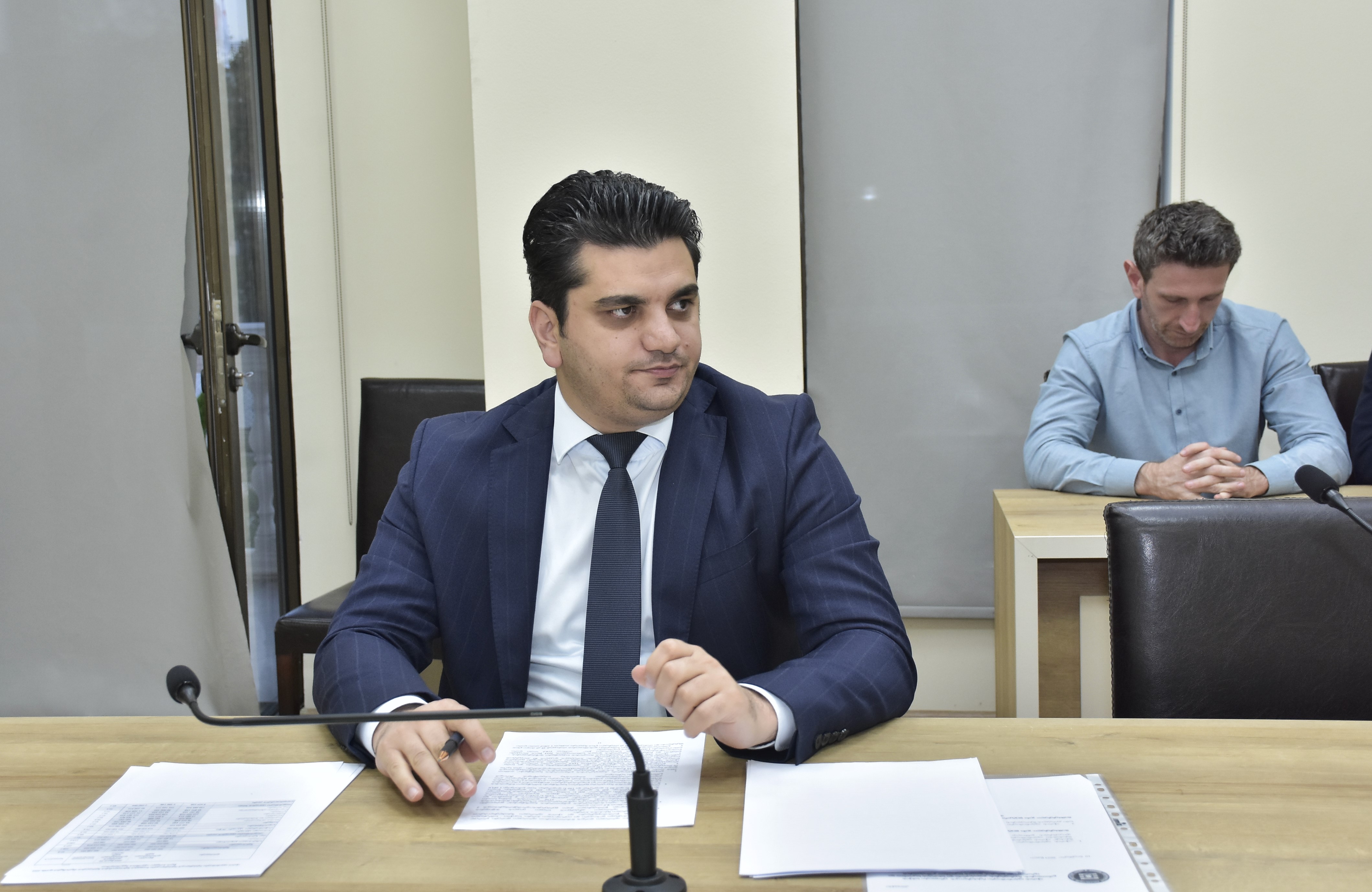 ადამიანის უფლებათა დაცვის საკითხთა კომიტეტის სხდომა