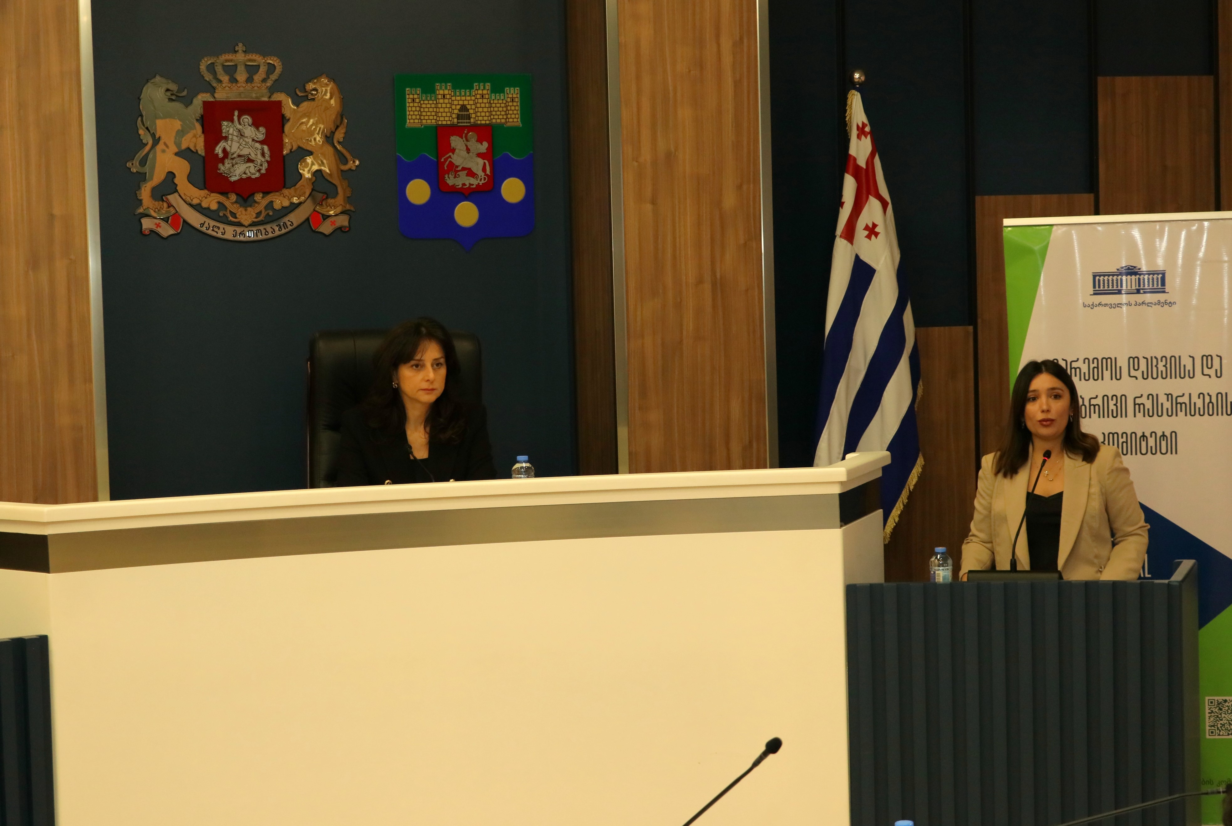 &nbsp;&nbsp;&nbsp;&nbsp; საქართველოს პარლამენტის კომიტეტის გასვლითი სხდომა უმაღლეს საბჭოში