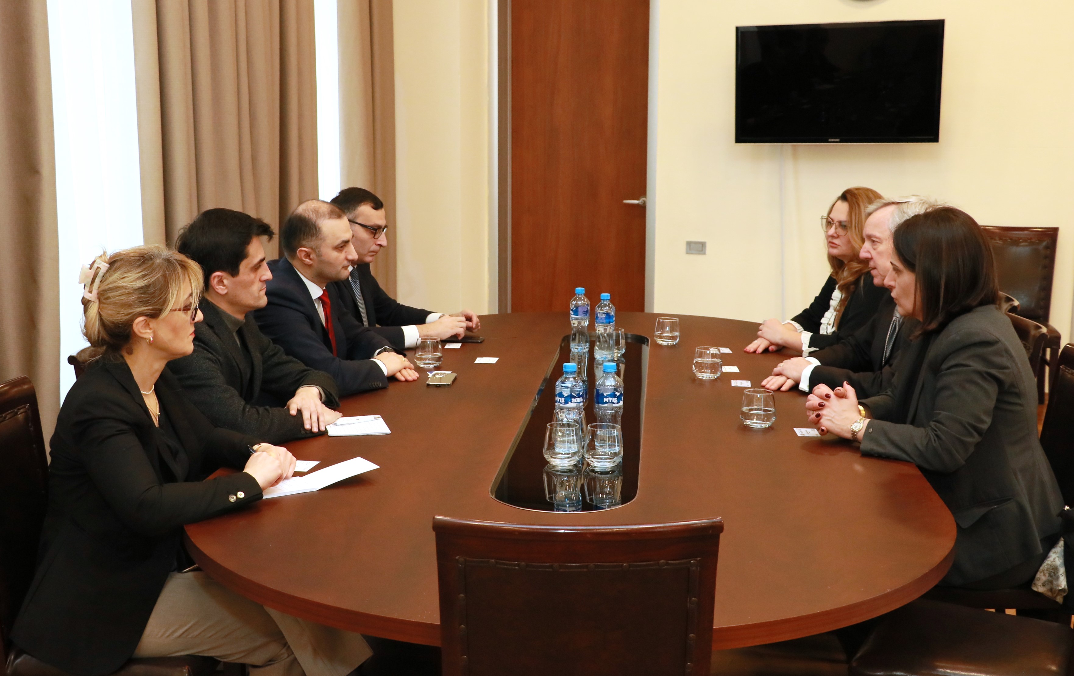 დავით გაბაიძე და ტიტე აროშიძე საარჩევნო სისტემების საერთაშორისო ფონდის (IFES) წარმომადგენლებს შეხვდნენ