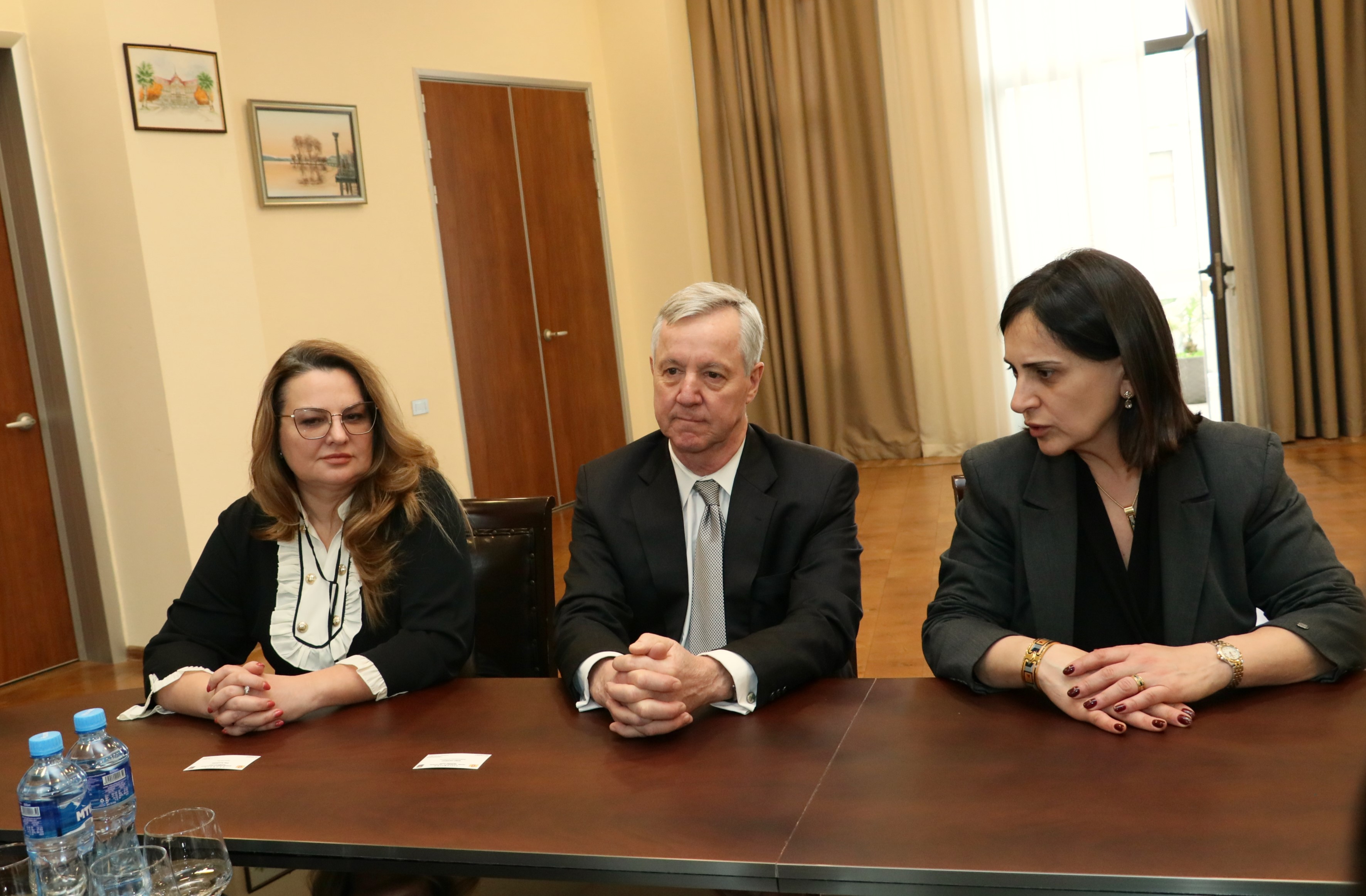 დავით გაბაიძე და ტიტე აროშიძე საარჩევნო სისტემების საერთაშორისო ფონდის (IFES) წარმომადგენლებს შეხვდნენ