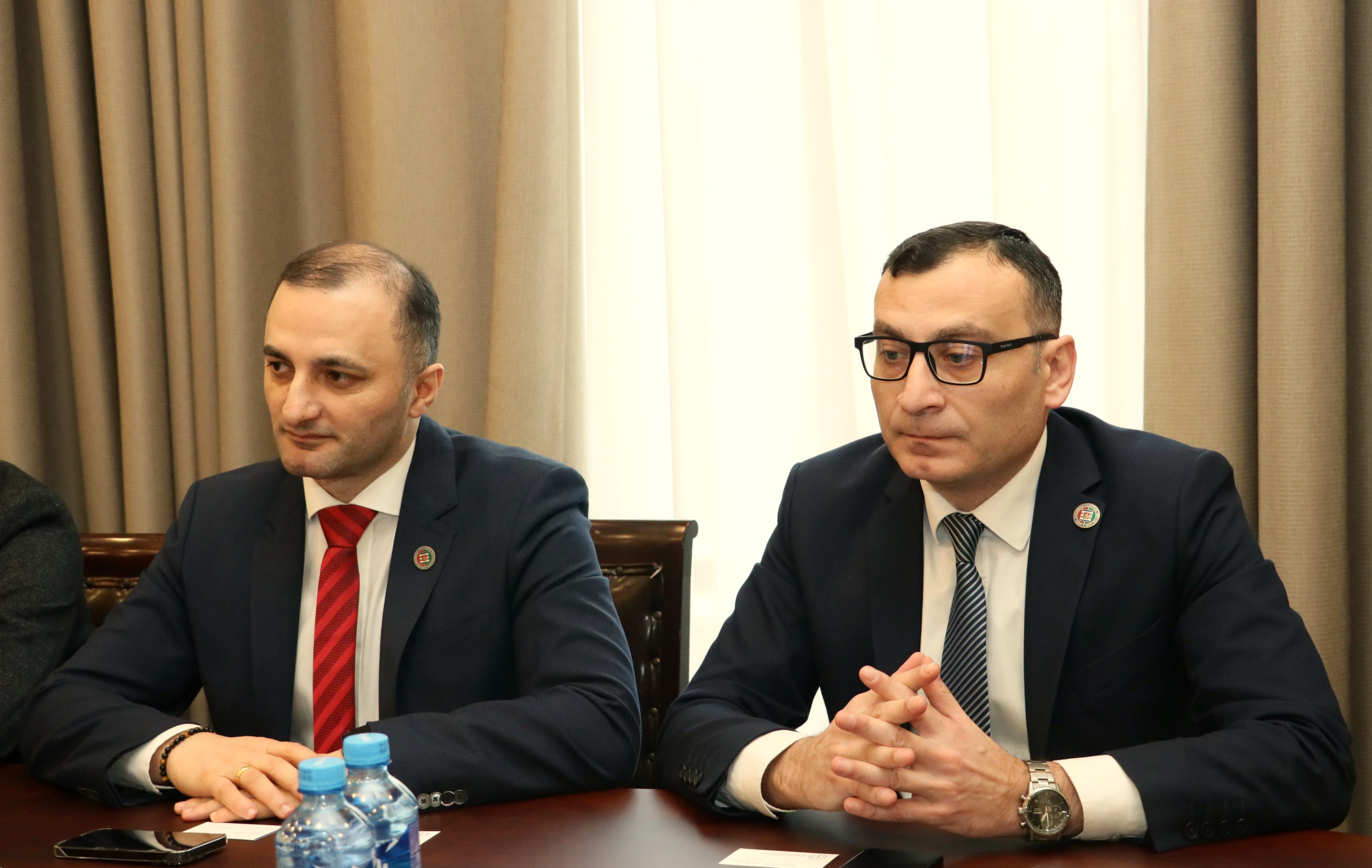 დავით გაბაიძე და ტიტე აროშიძე საარჩევნო სისტემების საერთაშორისო ფონდის (IFES) წარმომადგენლებს შეხვდნენ