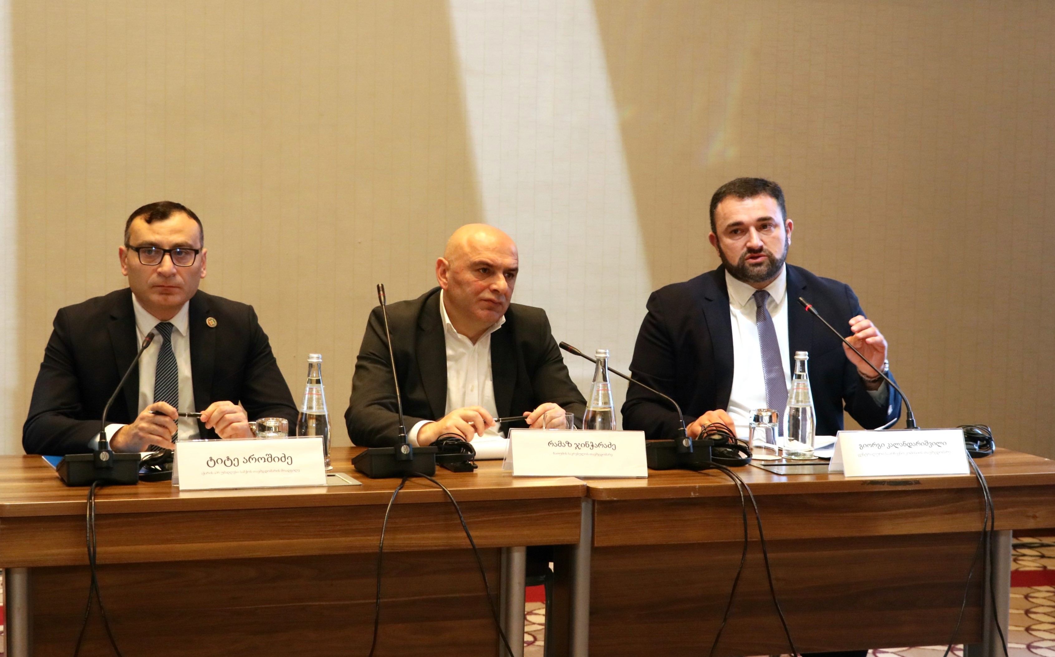 ბათუმში „ინკლუზიური და მრავალფეროვანი არჩევნები ტექნოლოგიების ეპოქაში“ - კონფერენცია გაიმართა