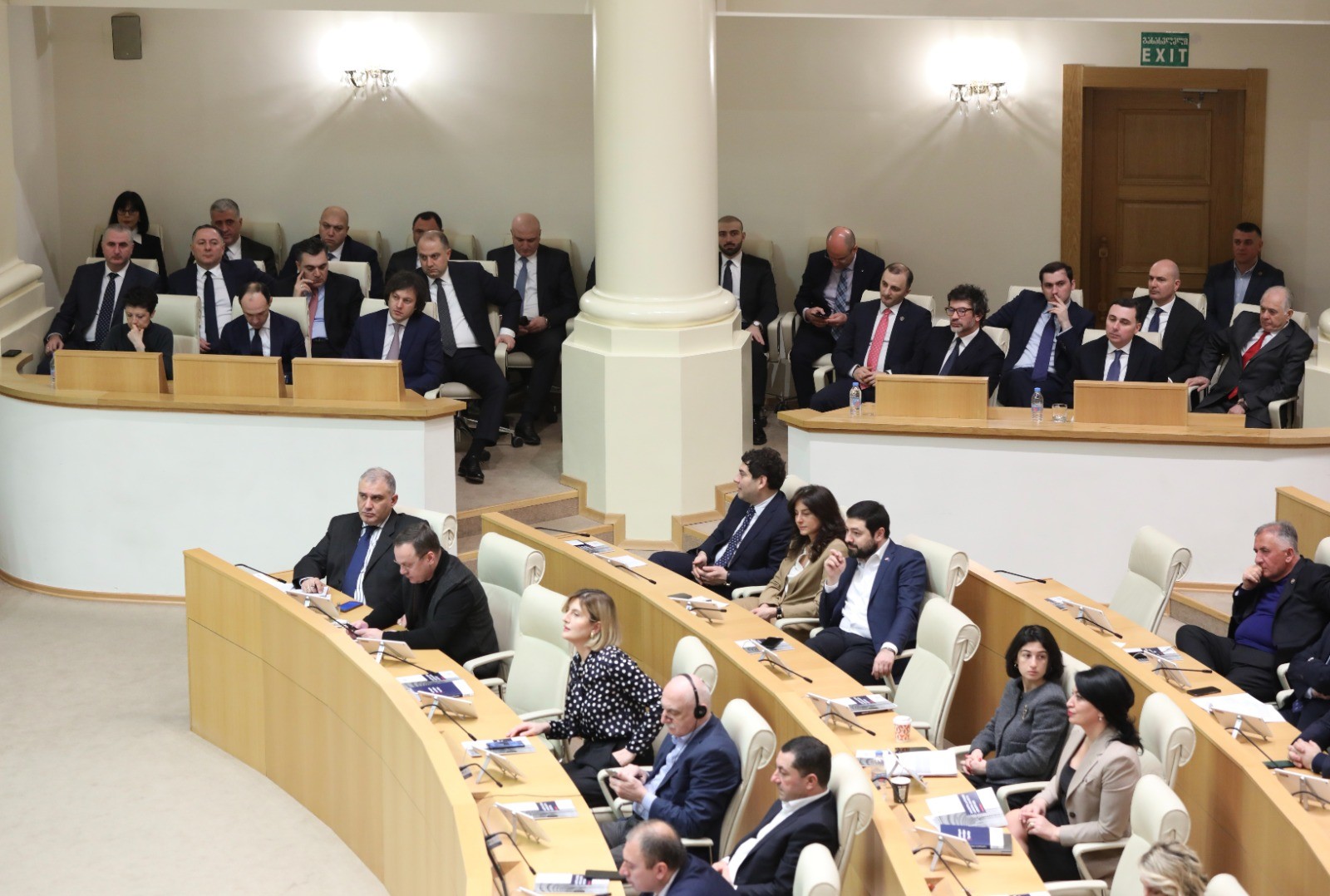 დავით გაბაიძე და თორნიკე რიჟვაძე საქართველოს პარლამენტის პლენარულ სხდომას დაესწრნენ