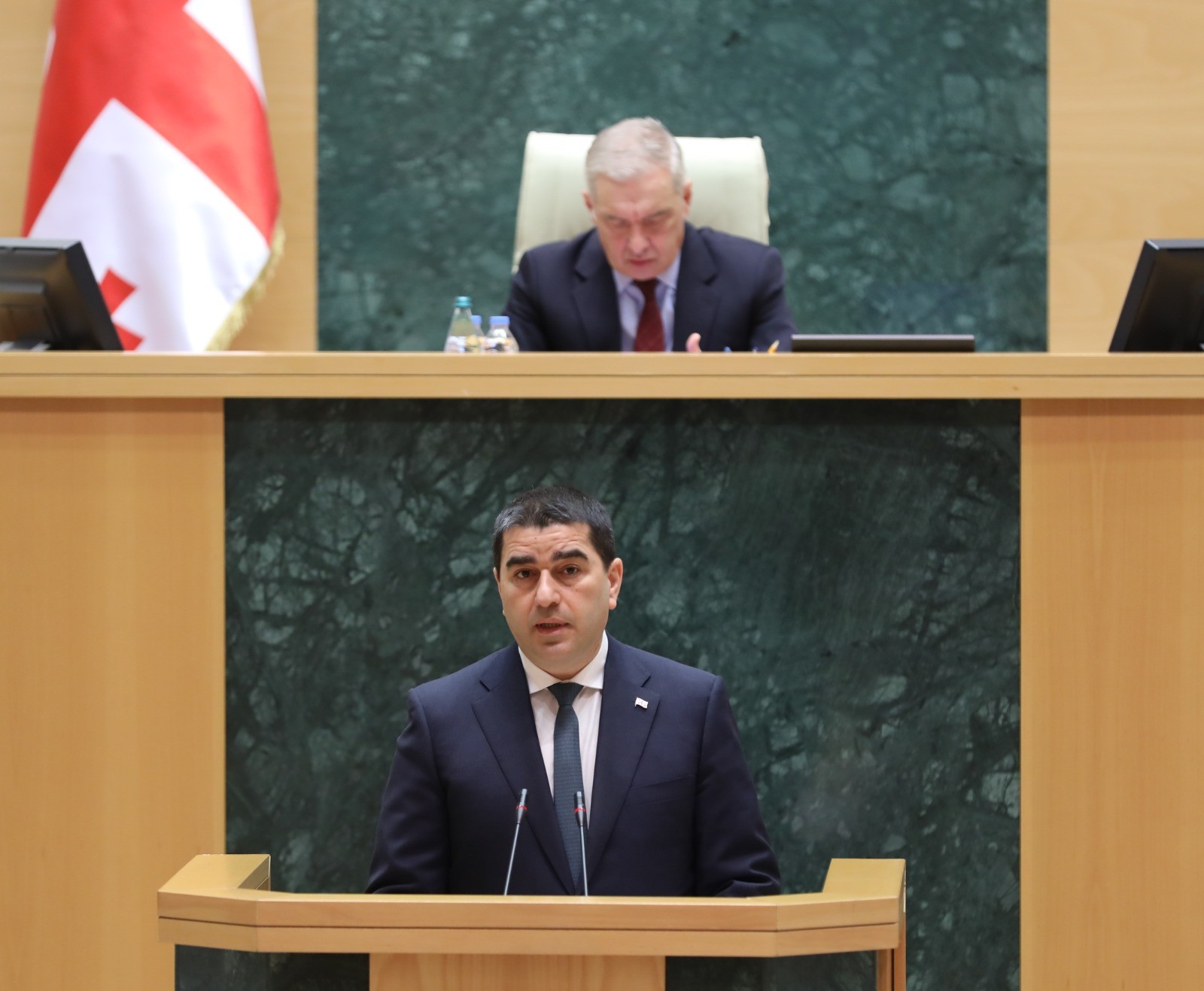 დავით გაბაიძე და თორნიკე რიჟვაძე საქართველოს პარლამენტის პლენარულ სხდომას დაესწრნენ