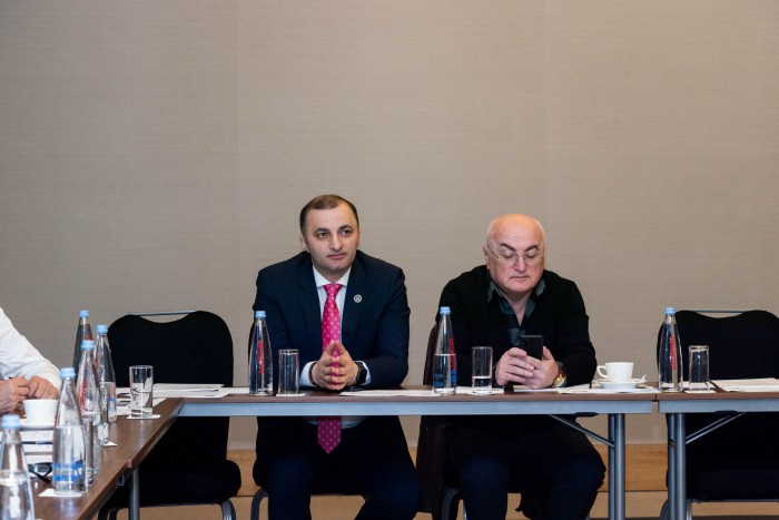 სამუშაო შეხვედრა თემატური მოკვლევის საკითხებზე