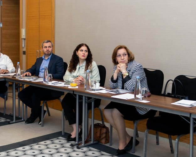 სამუშაო შეხვედრა თემატური მოკვლევის საკითხებზე