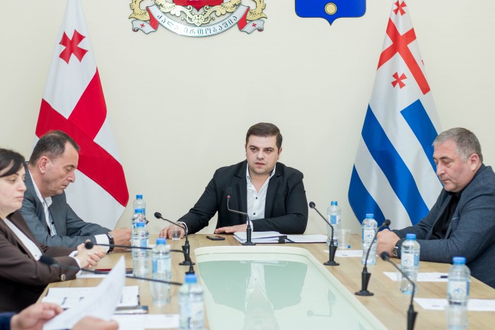 ჯანმრთელობის დაცვისა და სოციალურ საკითხთა და ადამიანის უფლებათა დაცვის საკითხთა კომიტეტების ერთობლივი სხდომა