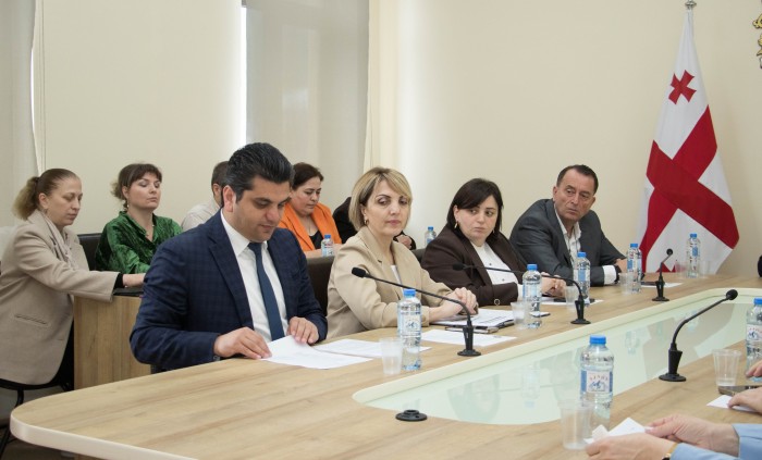 ჯანმრთელობის დაცვისა და სოციალურ საკითხთა და ადამიანის უფლებათა დაცვის საკითხთა კომიტეტების ერთობლივი სხდომა