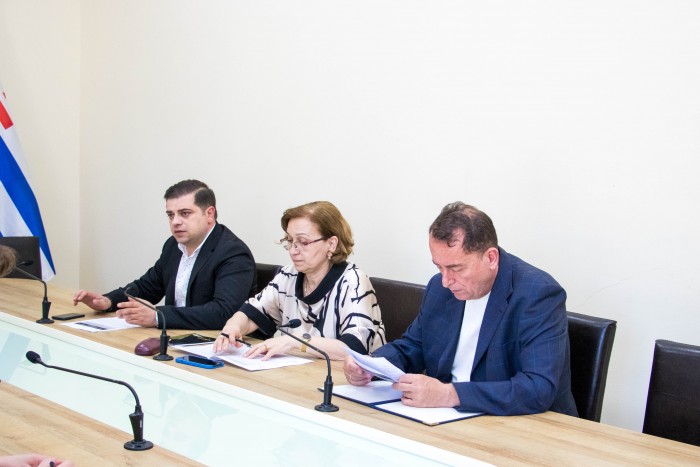 კომიტეტების სამუშაო შეხვედრა