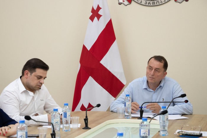 კომიტეტებმა კორექტირებულ რესპუბლიკურ ბიუჯეტს ერთობლივ სხდომაზე მხარი დაუჭირეს