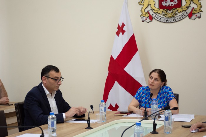 წამყვან კომიტეტში კორექტირებულ ბიუჯეტს მხარი დაუჭირეს