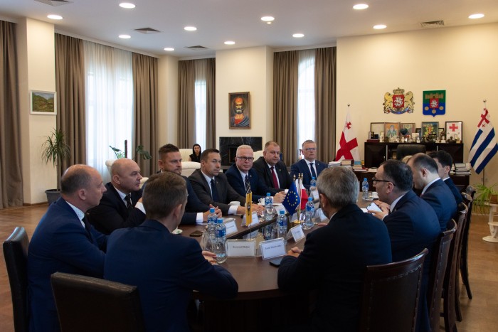 დავით გაბაიძემ ქვემო სილეზიის სავოევოდოს ოფიციალურ დელეგაციას უმასპინძლა