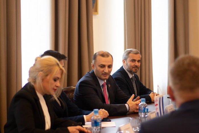 დავით გაბაიძემ ქვემო სილეზიის სავოევოდოს ოფიციალურ დელეგაციას უმასპინძლა