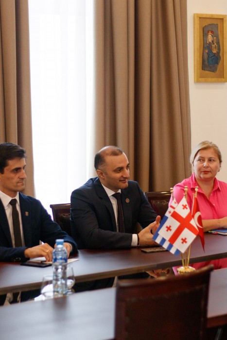 დავით გაბაიძემ რიზა ქაღან ილმაზს უმასპინძლა