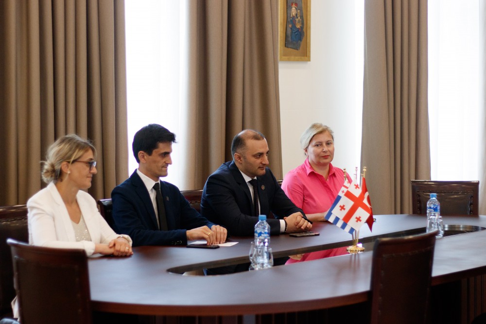 დავით გაბაიძემ რიზა ქაღან ილმაზს უმასპინძლა