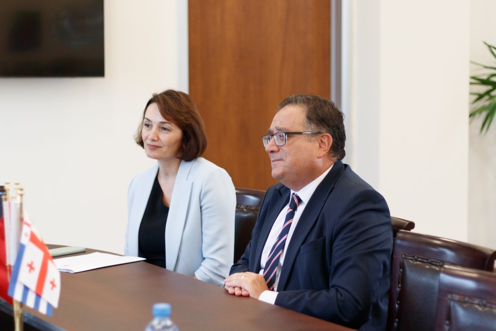 დავით გაბაიძემ რიზა ქაღან ილმაზს უმასპინძლა