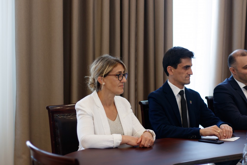 დავით გაბაიძემ რიზა ქაღან ილმაზს უმასპინძლა