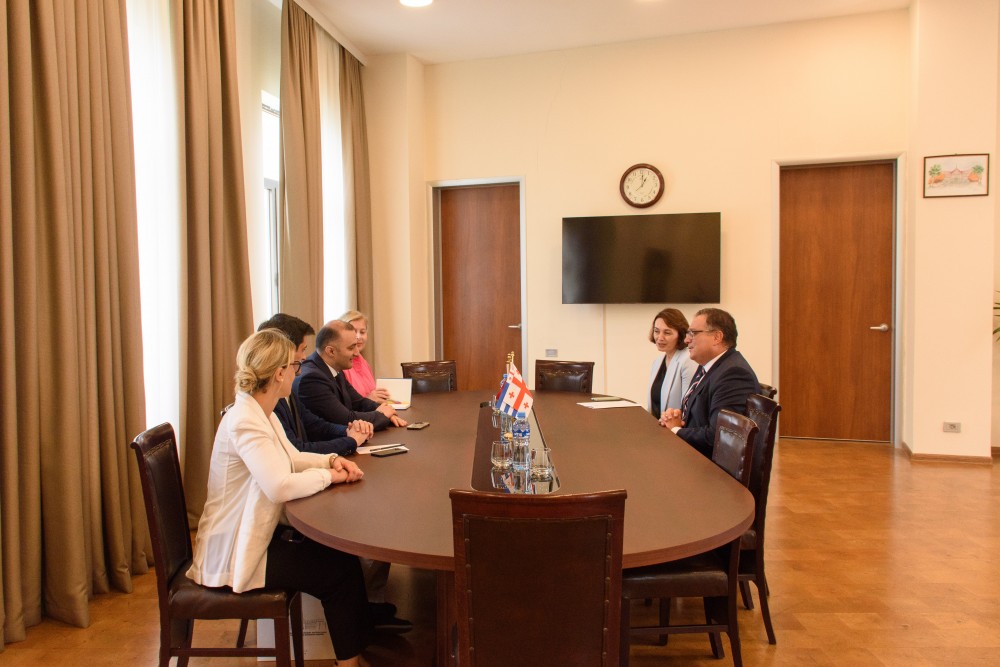 დავით გაბაიძემ რიზა ქაღან ილმაზს უმასპინძლა