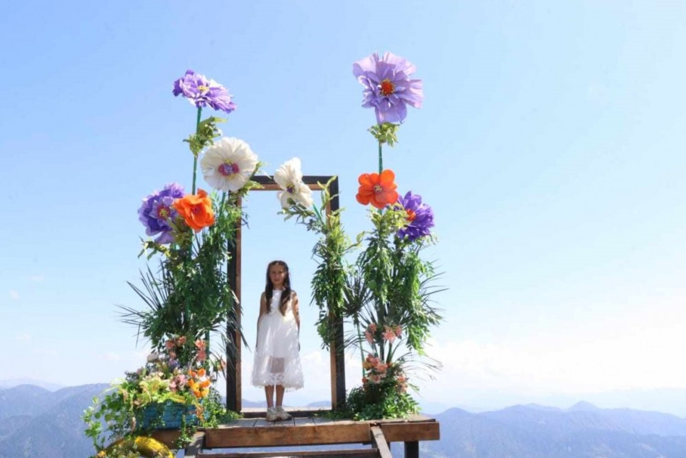 „ჯვარიმინდორი -2024“