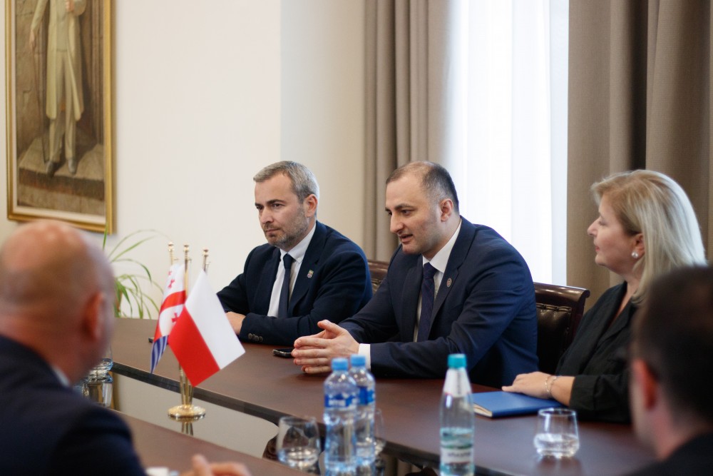 დავით გაბაიძე ქვემო სილეზიის სავოევოდოს დედაქალაქის - ვროცლავის საკრებულოს წევრებს შეხვდა