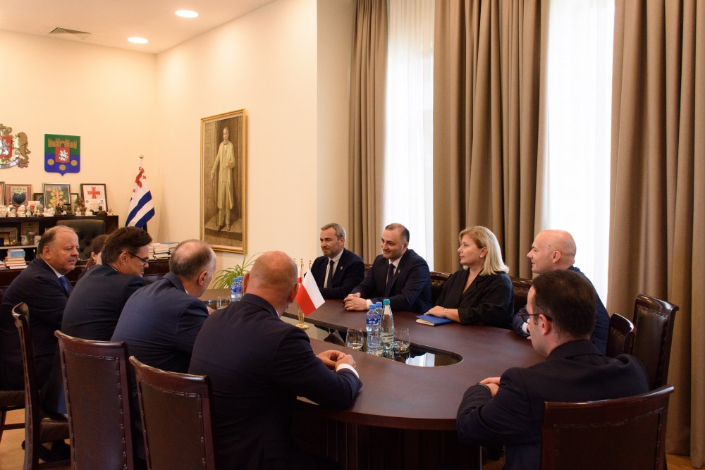 დავით გაბაიძე ქვემო სილეზიის სავოევოდოს დედაქალაქის - ვროცლავის საკრებულოს წევრებს შეხვდა