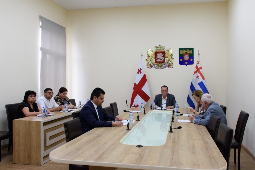 ჯანმრთელობის დაცვისა და სოციალურ საკითხთა კომიტეტის სხდომა