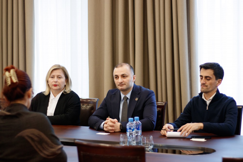 დავით გაბაიძე საერთაშორისო რესპუბლიკური ინსტიტუტის სადამკვირვებლო მისიის წარმომადგენლებს შეხვდა