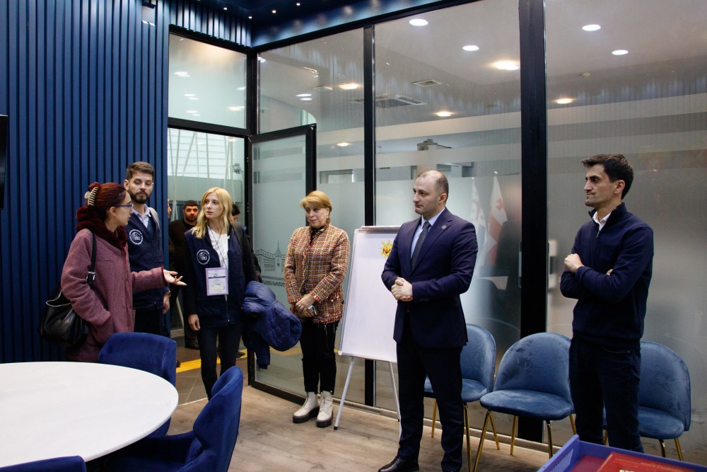 დავით გაბაიძე საერთაშორისო რესპუბლიკური ინსტიტუტის სადამკვირვებლო მისიის წარმომადგენლებს შეხვდა