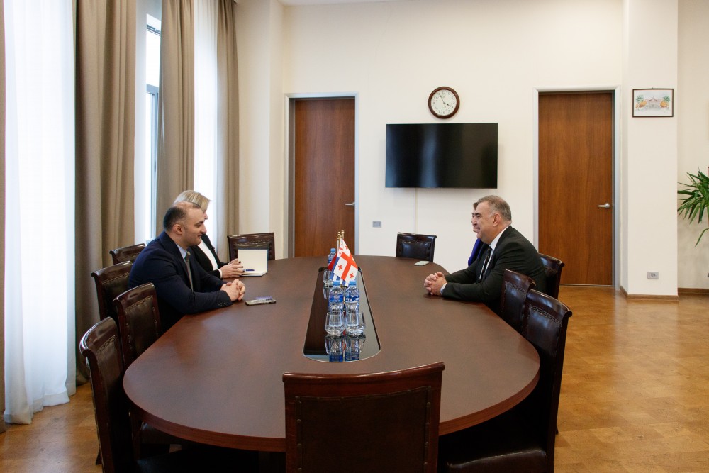 დავით გაბაიძემ ადნან ალთაი ალთინორს უმასპინძლა