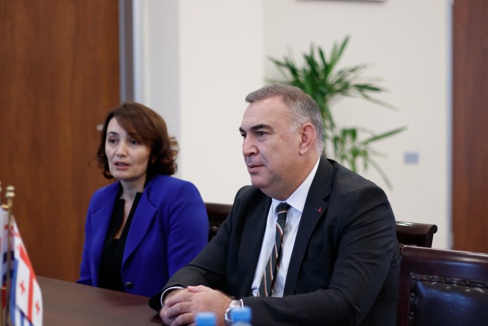 დავით გაბაიძემ ადნან ალთაი ალთინორს უმასპინძლა