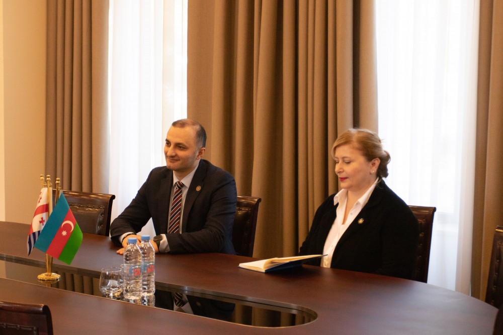 დავით გაბაიძემ  აზერბაიჯანის გენერალურ კონსულს უმასპინძლა