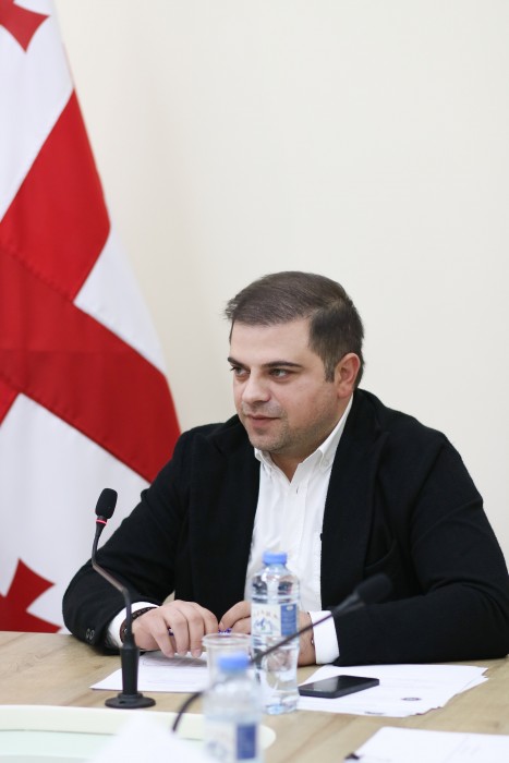 ჯანმრთელობის დაცვისა და სოციალურ საკითხთა და ადამიანის უფლებათა დაცვის  საკითხთა კომიტეტების ერთობლივი სხდომა