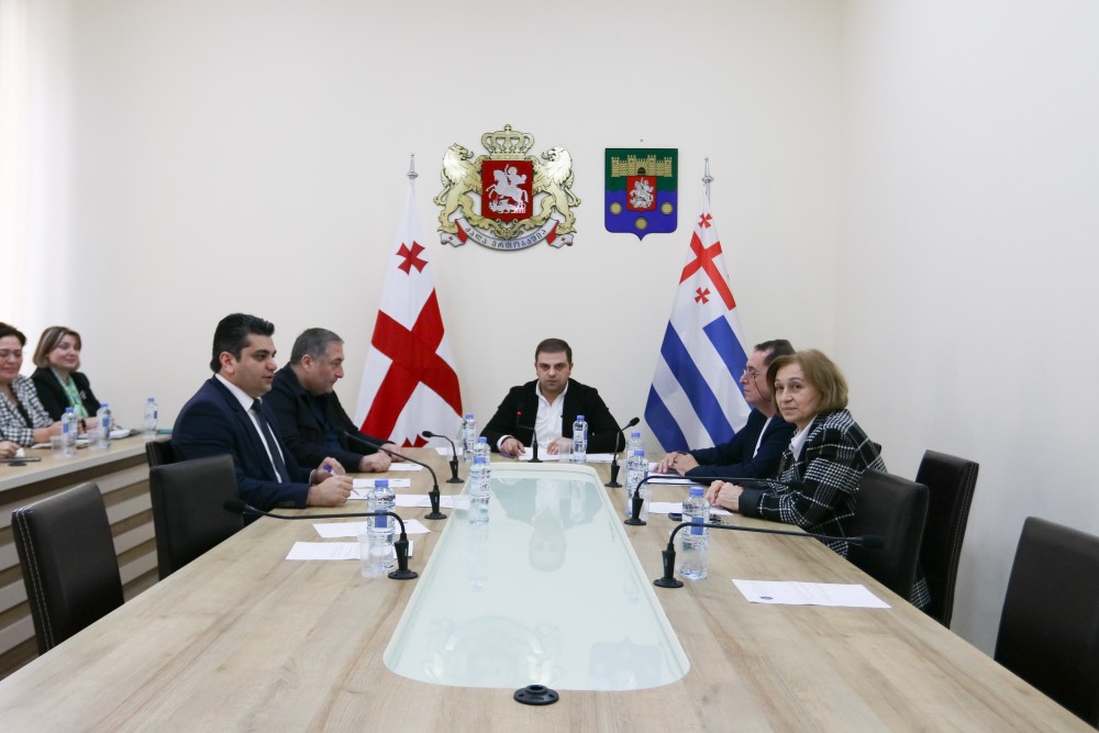 ჯანმრთელობის დაცვისა და სოციალურ საკითხთა და ადამიანის უფლებათა დაცვის  საკითხთა კომიტეტების ერთობლივი სხდომა