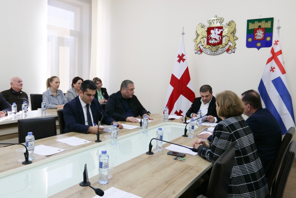 ჯანმრთელობის დაცვისა და სოციალურ საკითხთა და ადამიანის უფლებათა დაცვის  საკითხთა კომიტეტების ერთობლივი სხდომა