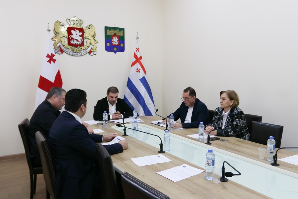 ჯანმრთელობის დაცვისა და სოციალურ საკითხთა და ადამიანის უფლებათა დაცვის  საკითხთა კომიტეტების ერთობლივი სხდომა