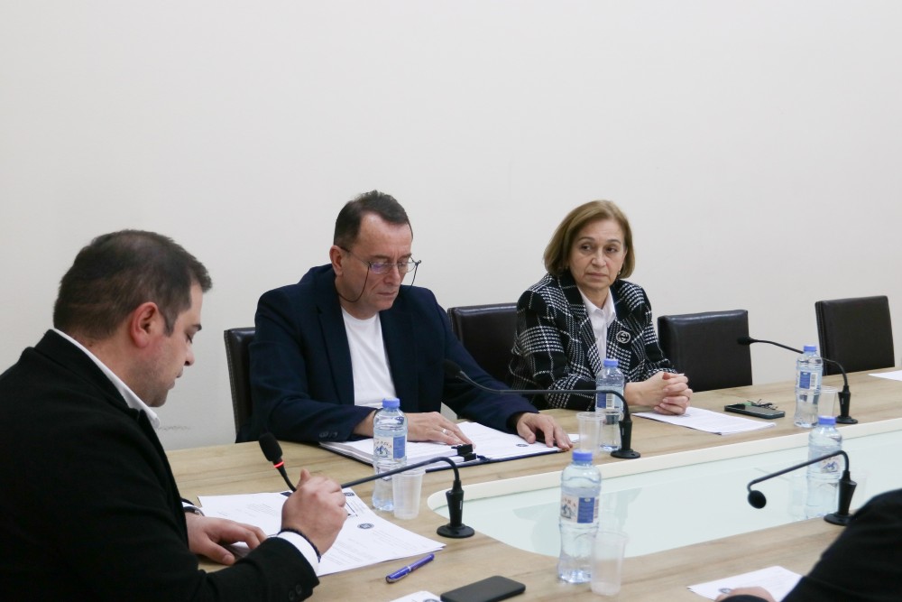 ჯანმრთელობის დაცვისა და სოციალურ საკითხთა და ადამიანის უფლებათა დაცვის  საკითხთა კომიტეტების ერთობლივი სხდომა