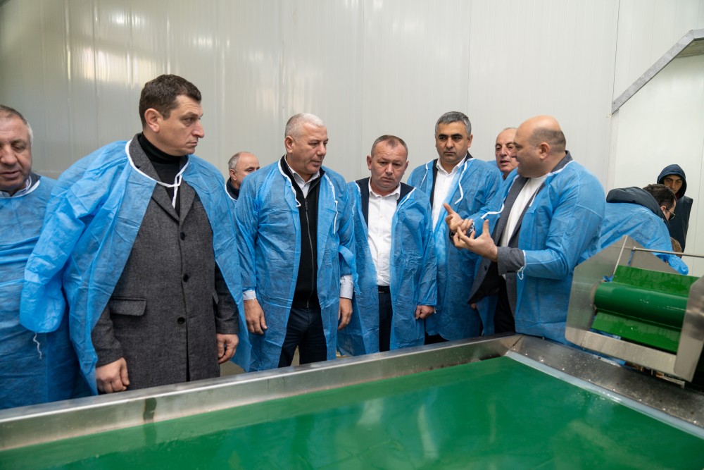 ძენწმანში კარტოფილის მიმღებ-გადამამუშავებელი საწარმო გაიხსნა