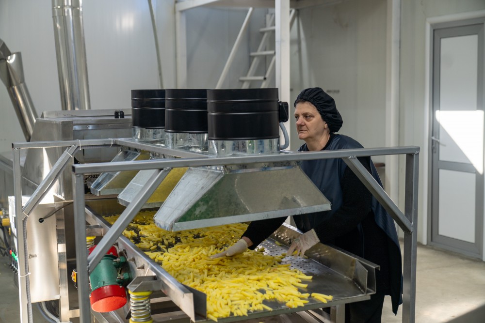 ძენწმანში კარტოფილის მიმღებ-გადამამუშავებელი საწარმო გაიხსნა