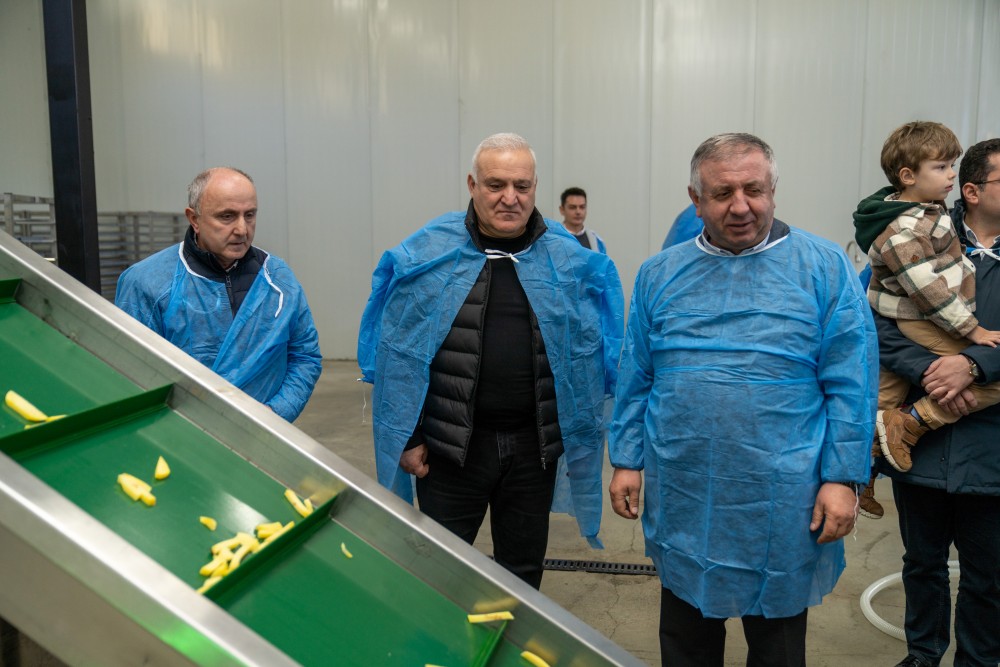 ძენწმანში კარტოფილის მიმღებ-გადამამუშავებელი საწარმო გაიხსნა