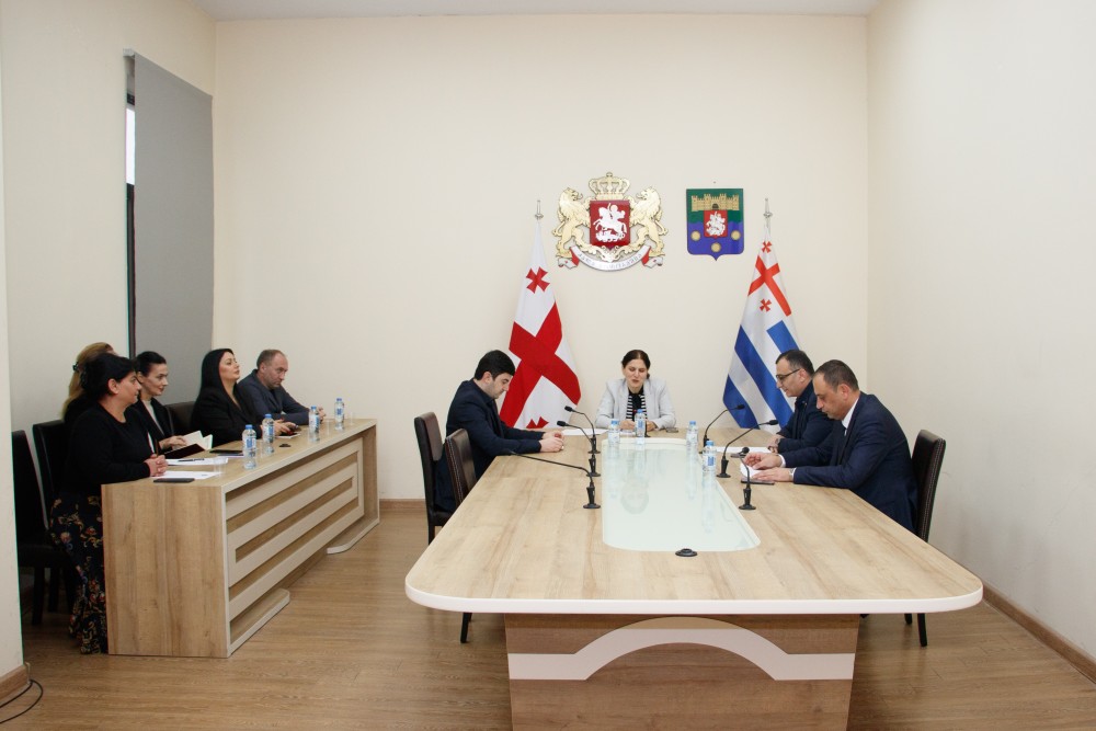 საფინანსო-საბიუჯეტო და ეკონომიკურ საკითხთა კომიტეტის პირველი სხდომა