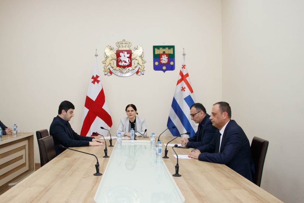 საფინანსო-საბიუჯეტო და ეკონომიკურ საკითხთა კომიტეტის პირველი სხდომა