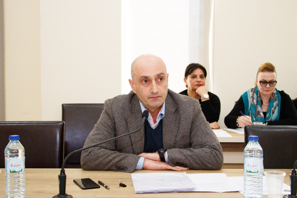 საფინანსო-საბიუჯეტო და ეკონომიკურ საკითხთა კომიტეტის სხდომაზე ორი ანგარიში მოისმინეს