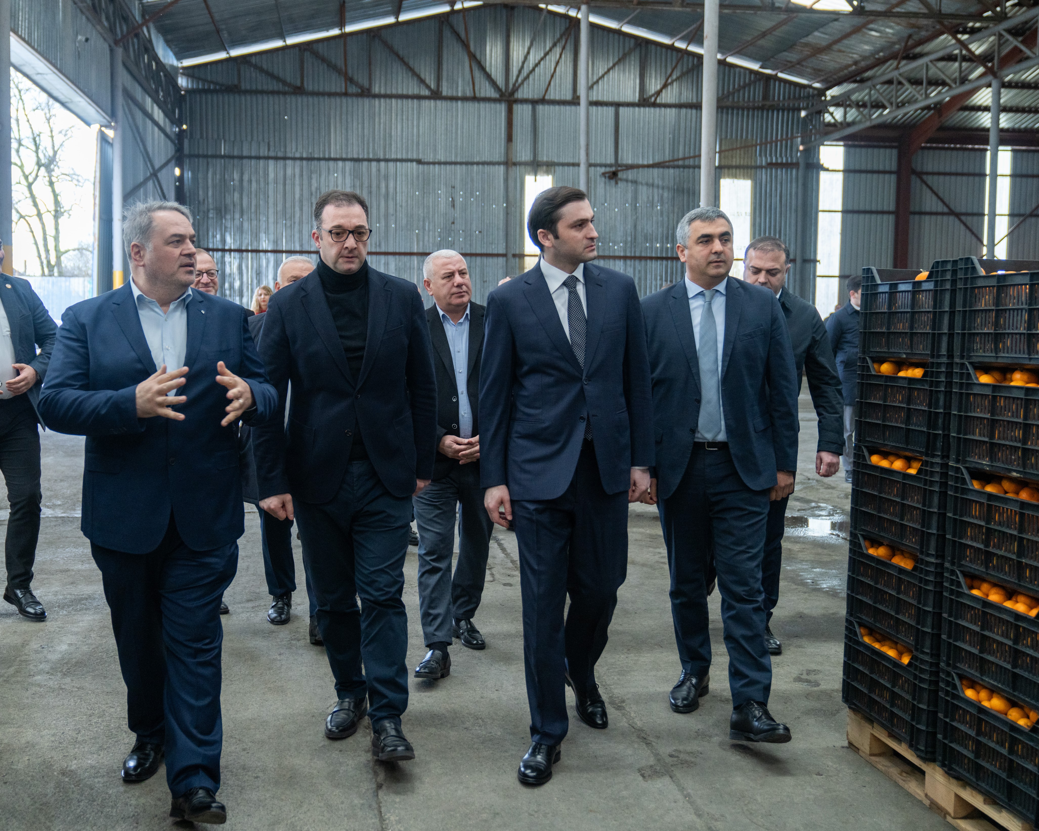 ქობულეთში 16 მილიონ დოლარამდე ღირებულების ციტრუსია ექსპორტირებული