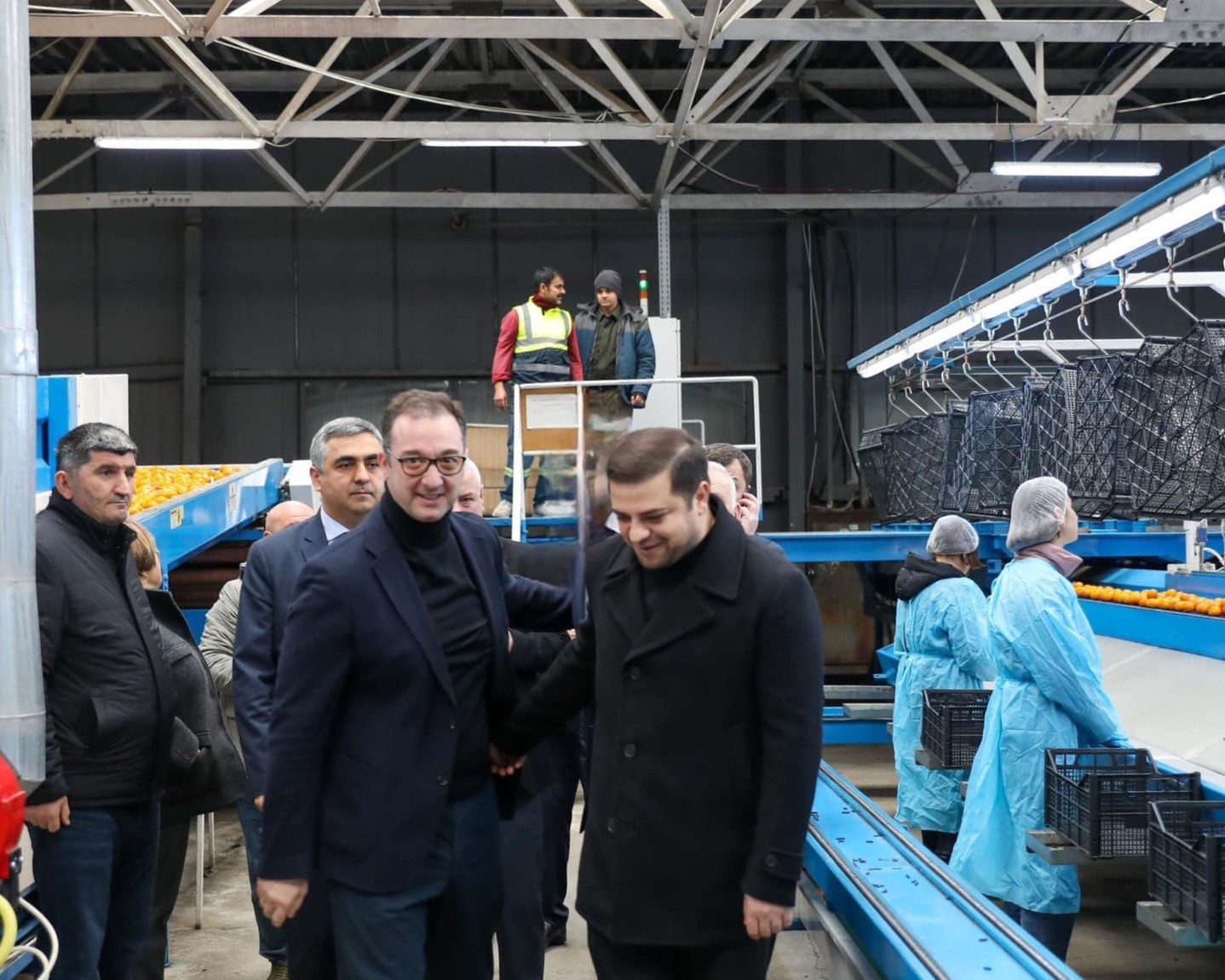 ქობულეთში 16 მილიონ დოლარამდე ღირებულების ციტრუსია ექსპორტირებული