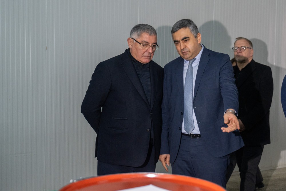 ქობულეთში 16 მილიონ დოლარამდე ღირებულების ციტრუსია ექსპორტირებული