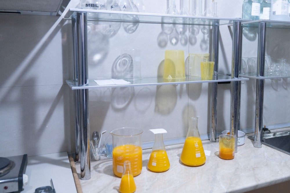 ქობულეთში 16 მილიონ დოლარამდე ღირებულების ციტრუსია ექსპორტირებული