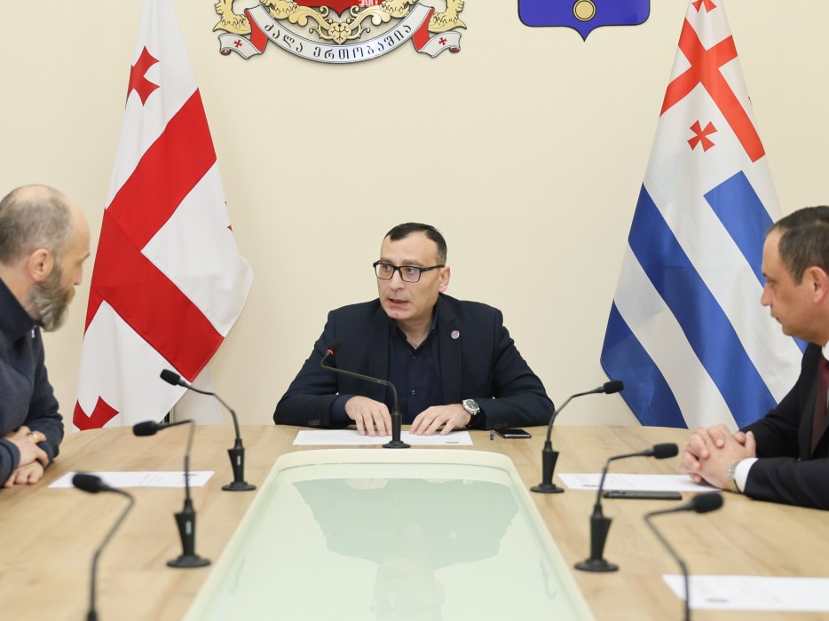 მამუკა თურმანიძე საკონსტიტუციო, იურიდიულ და საპროცედურო საკითხთა კომიტეტის თავმჯდომარის მოადგილედ აირჩიეს