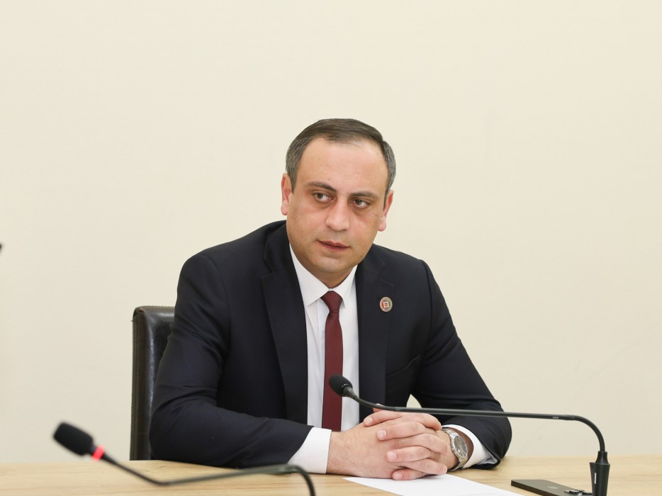 მამუკა თურმანიძე საკონსტიტუციო, იურიდიულ და საპროცედურო საკითხთა კომიტეტის თავმჯდომარის მოადგილედ აირჩიეს